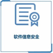 软件信息安全检测