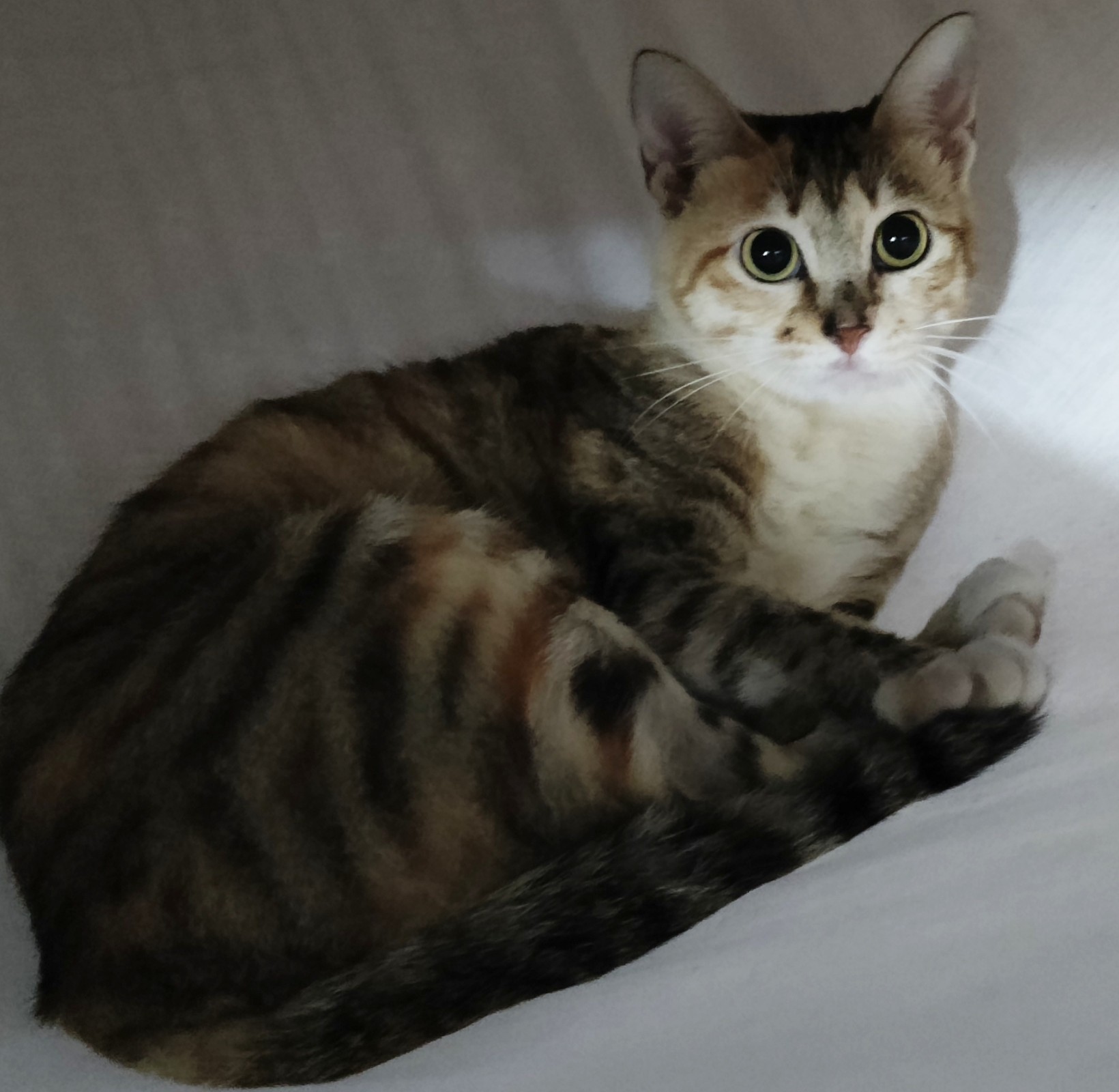 现场租赁测试
